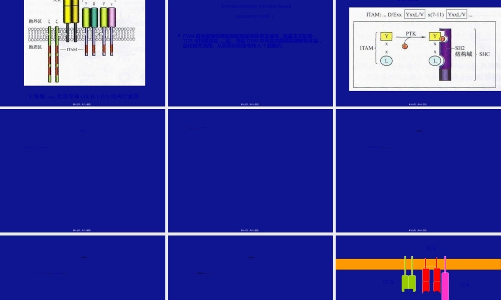 2022年医学专题—B淋巴细胞活化(1).ppt