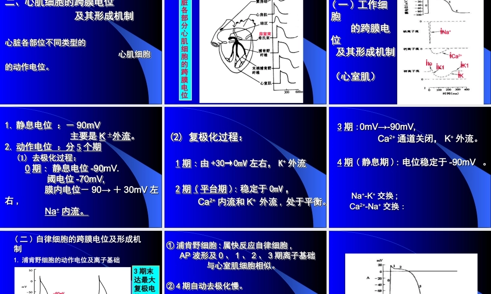 生理第四章血液循环.ppt