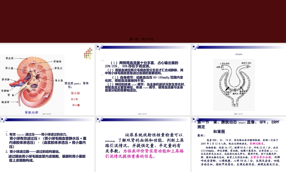 2022年医学专题—zhz-第10章泌尿生殖系统显像(1).ppt