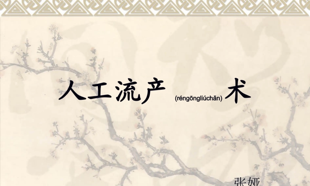 2022年医学专题—人工流产术(1).ppt