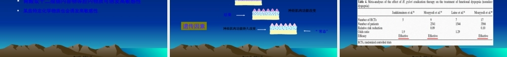 功能性胃肠病ppt.pptx
