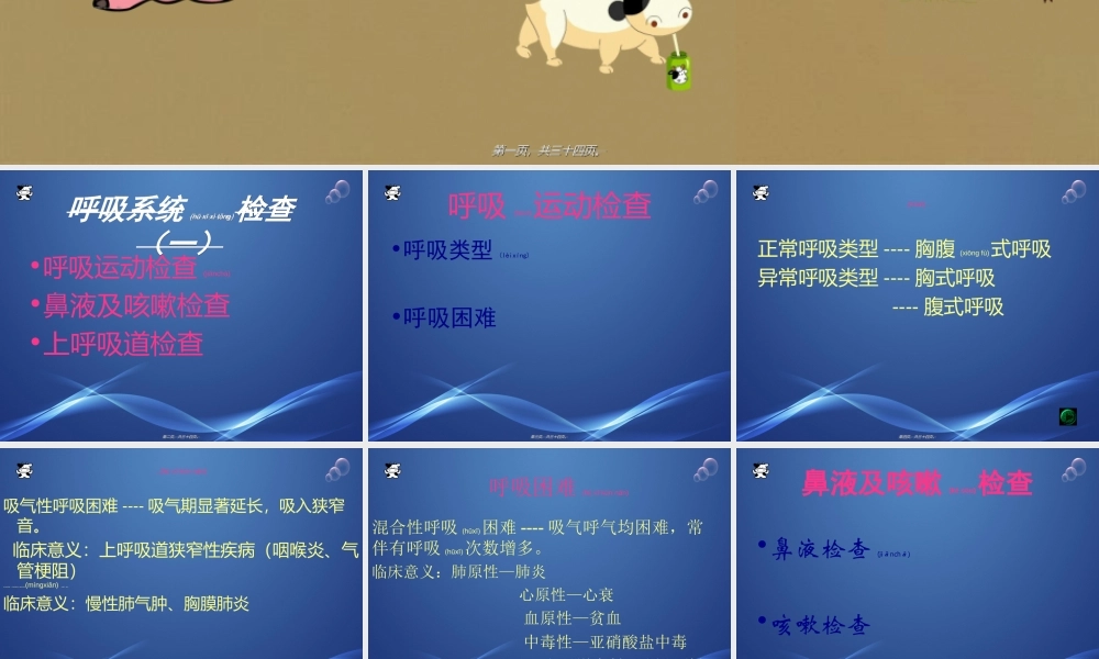 2022年医学专题—呼吸系统检查1(1).ppt