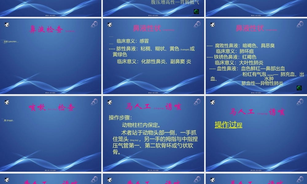 2022年医学专题—呼吸系统检查1(1).ppt