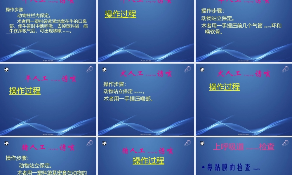 2022年医学专题—呼吸系统检查1(1).ppt