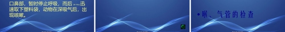 2022年医学专题—呼吸系统检查1(1).ppt
