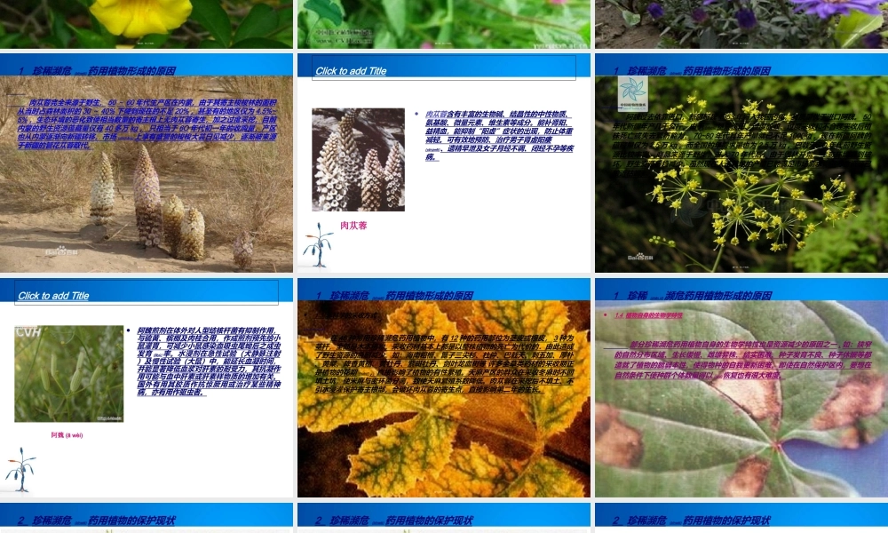 2022年医学专题—我国珍稀濒危药用植物(1).ppt
