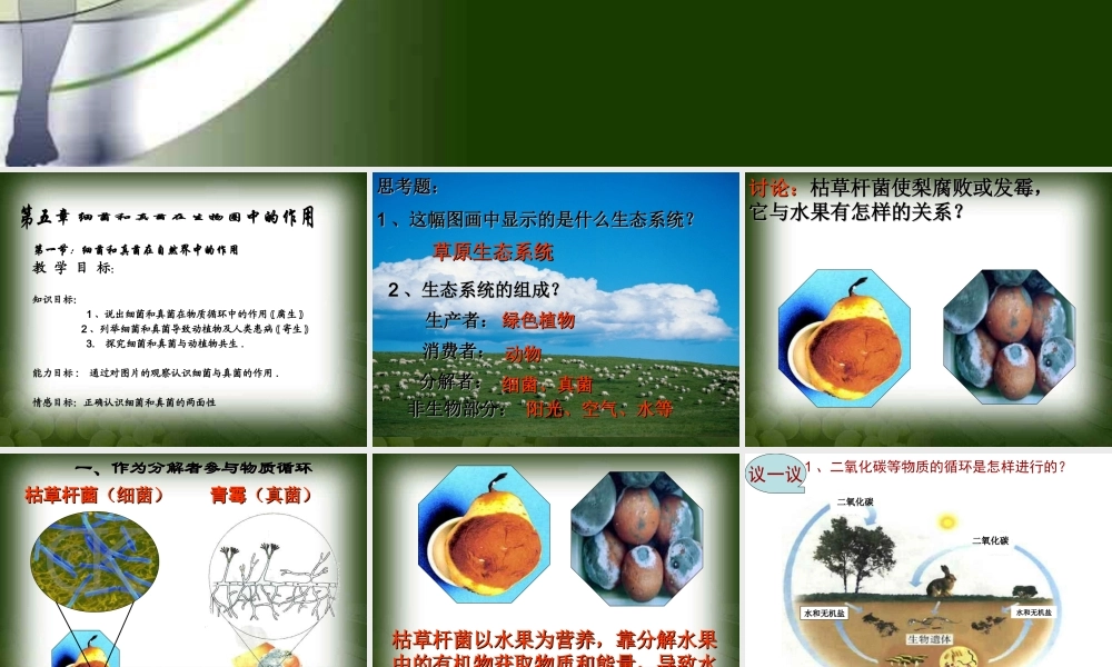 细菌和真菌在自然界的作用..ppt