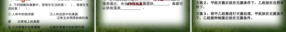 细菌和真菌在自然界的作用..ppt