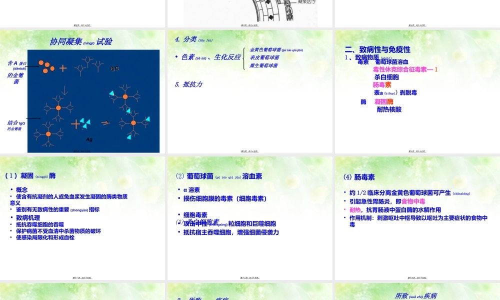 2022年医学专题—淋病奈瑟菌球形(1).ppt