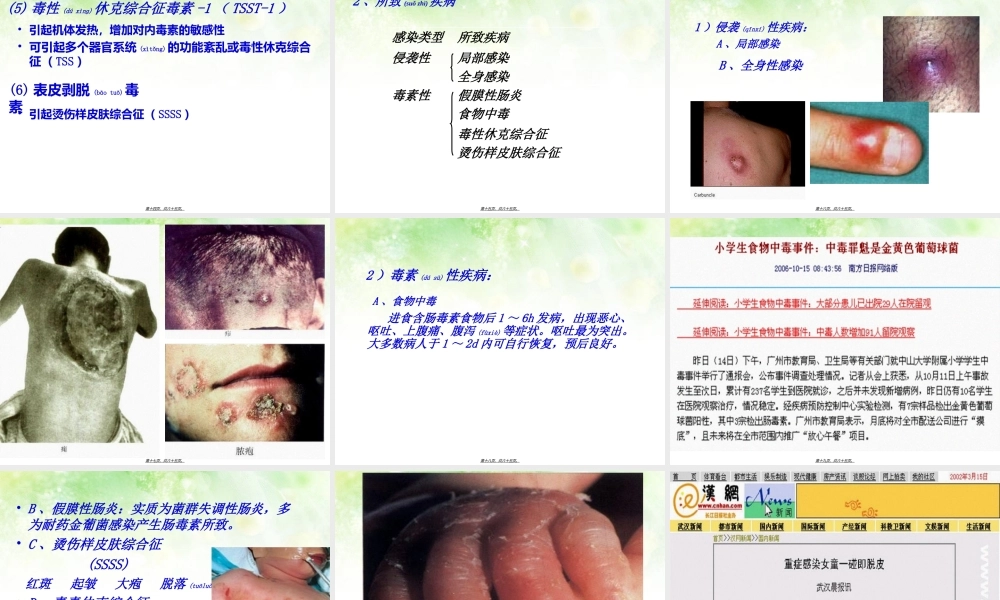 2022年医学专题—淋病奈瑟菌球形(1).ppt
