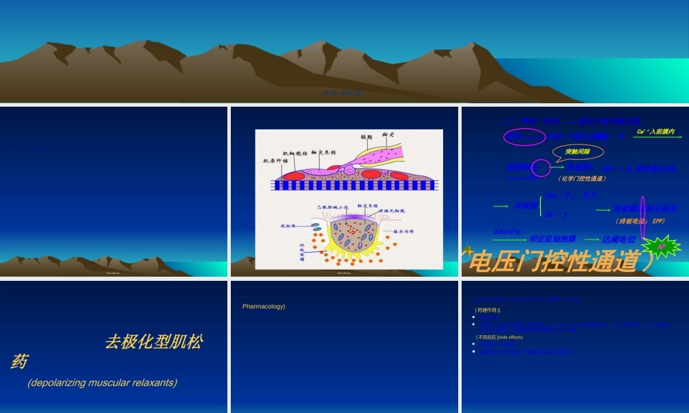 2022年医学专题—气管插管和肌松药(1).ppt