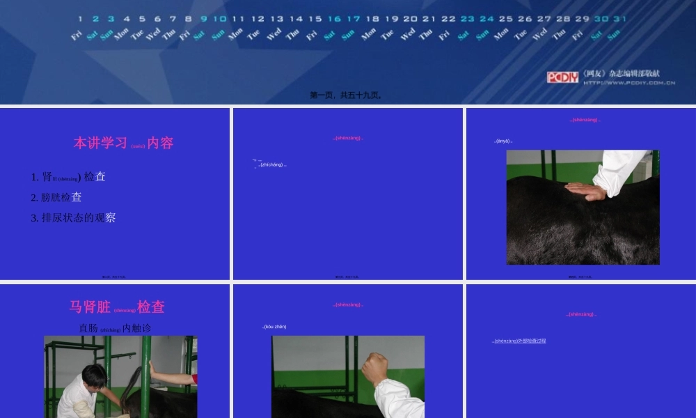 2022年医学专题—泌尿生殖系统检查(1).ppt