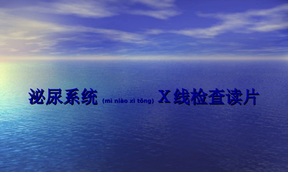 2022年医学专题—泌尿系统线检查读片(1).ppt