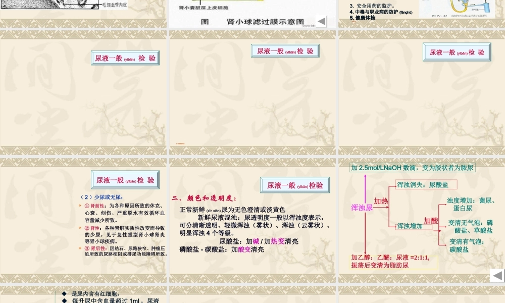2022年医学专题—第五章尿液一般检验(1).ppt