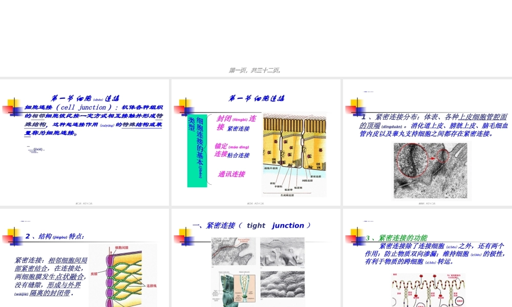 2022年医学专题—细胞连接与细胞粘连(1).ppt