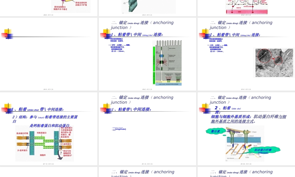 2022年医学专题—细胞连接与细胞粘连(1).ppt