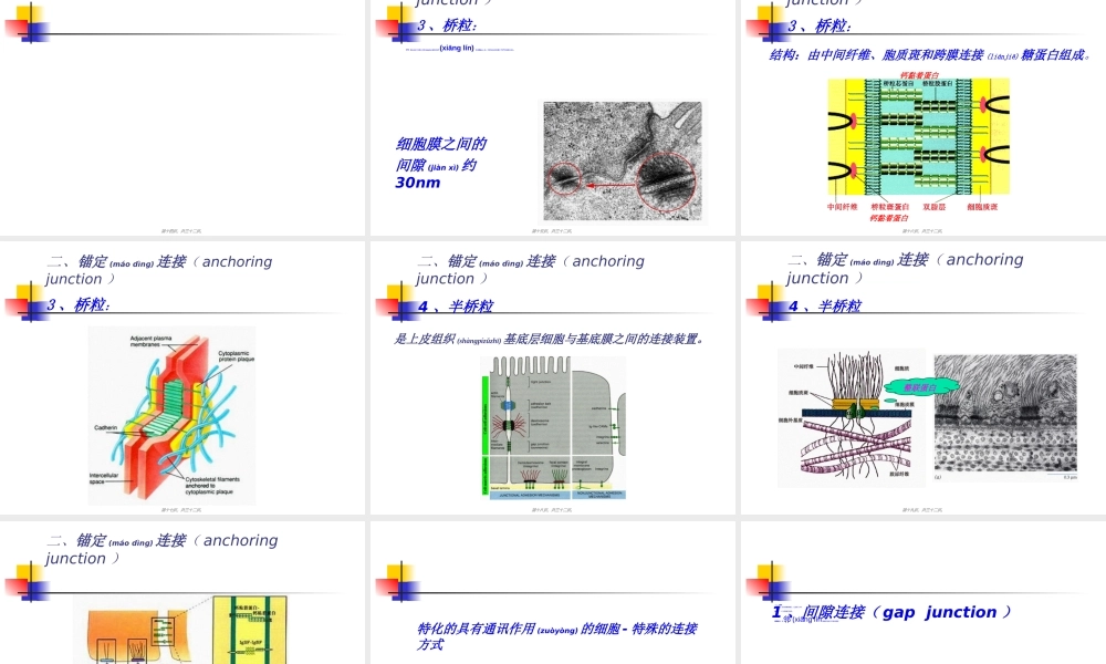 2022年医学专题—细胞连接与细胞粘连(1).ppt
