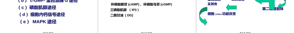 2022年医学专题—第二节--细胞跨膜信号转(1).ppt