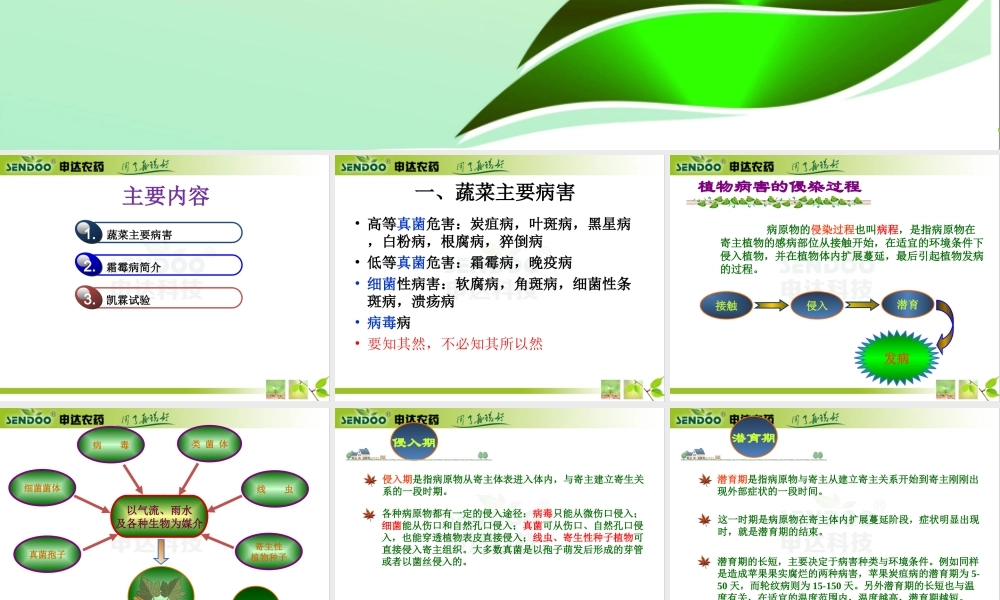 蔬菜霜霉病--.ppt