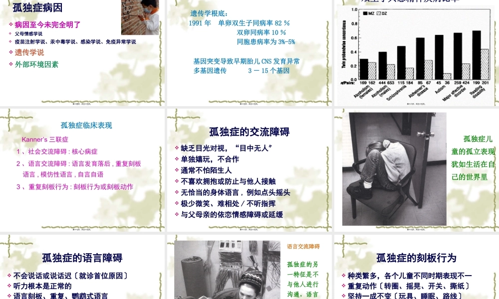 关注孤独症儿童—贾美香.pptx