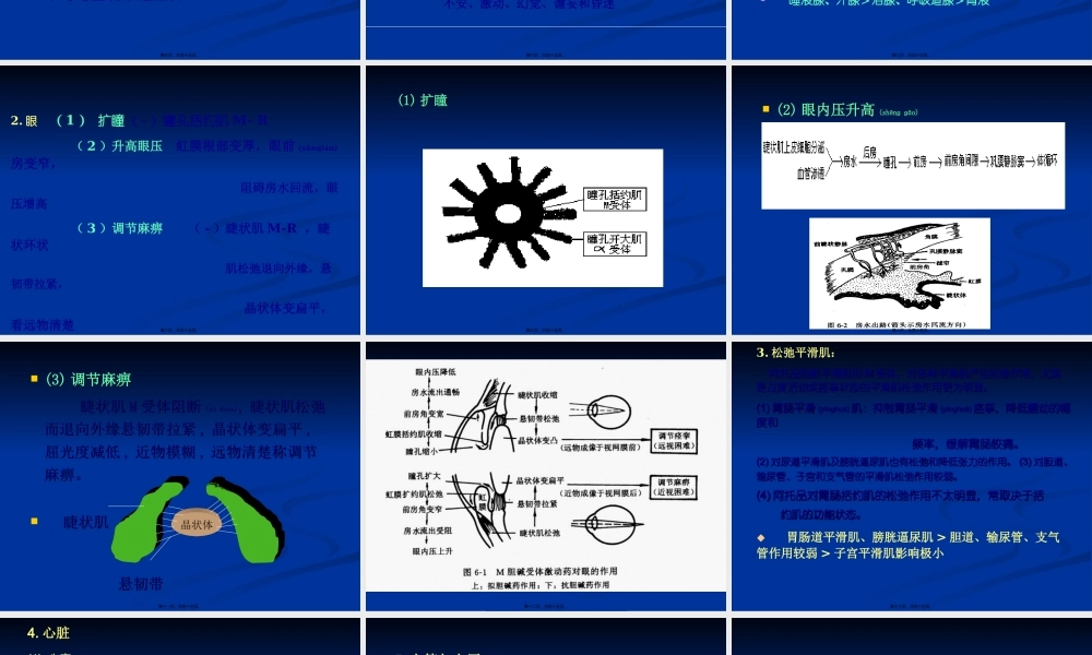 2022年医学专题—第7章-胆碱受体阻断药good!(1).ppt