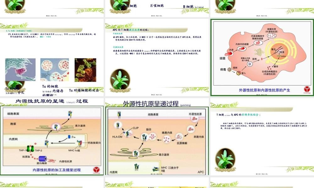 2022年医学专题—细胞介导的免疫(1).ppt
