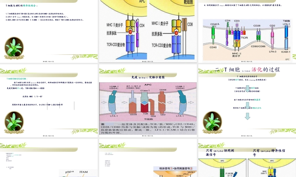2022年医学专题—细胞介导的免疫(1).ppt