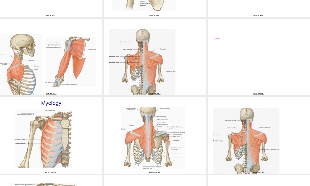 2022年医学专题—肩外展的康复(1).ppt
