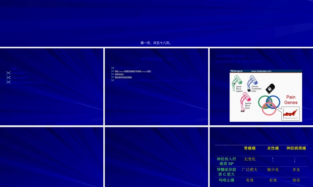 2022年医学专题—美国疼痛学会加拿大疼痛学会第2届联席会议会议纪要(1).ppt