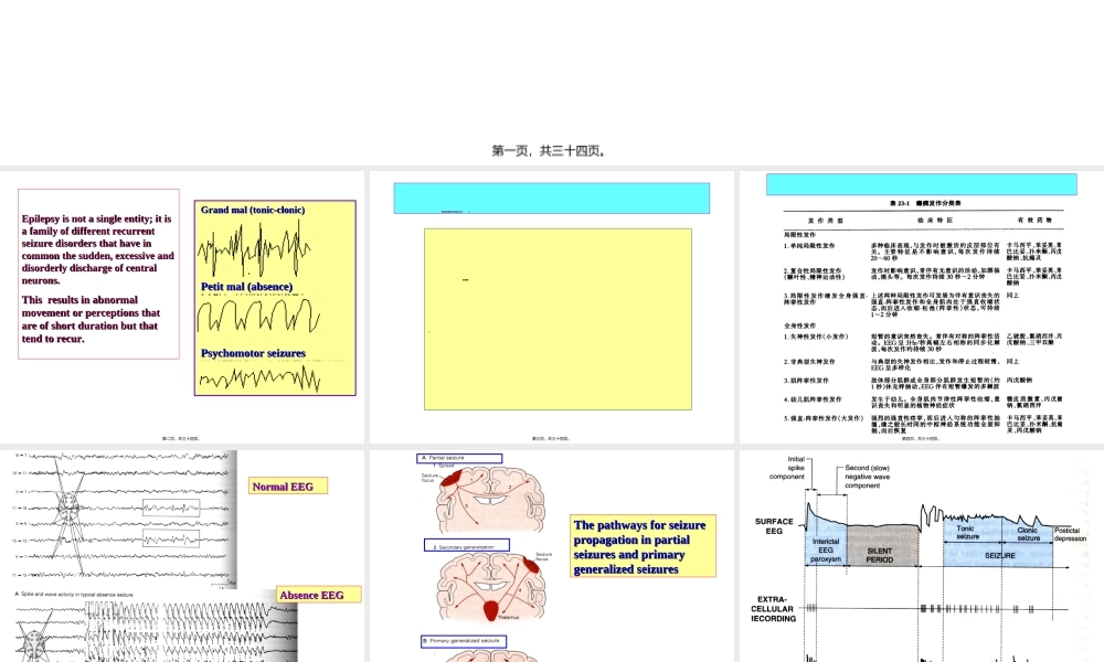 2022年医学专题—神经系统药理—魏尔清-抗癫痫药(1).ppt