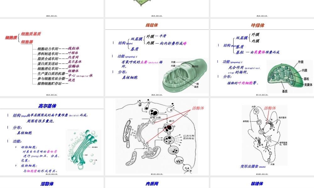 2022年医学专题—第3章2节细胞质(1).ppt