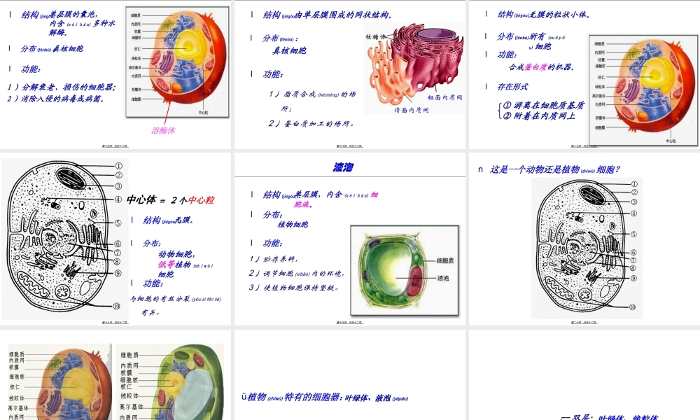 2022年医学专题—第3章2节细胞质(1).ppt