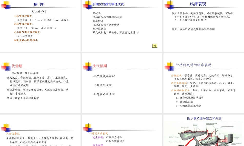 [整理后]肝硬化的理(1).ppt