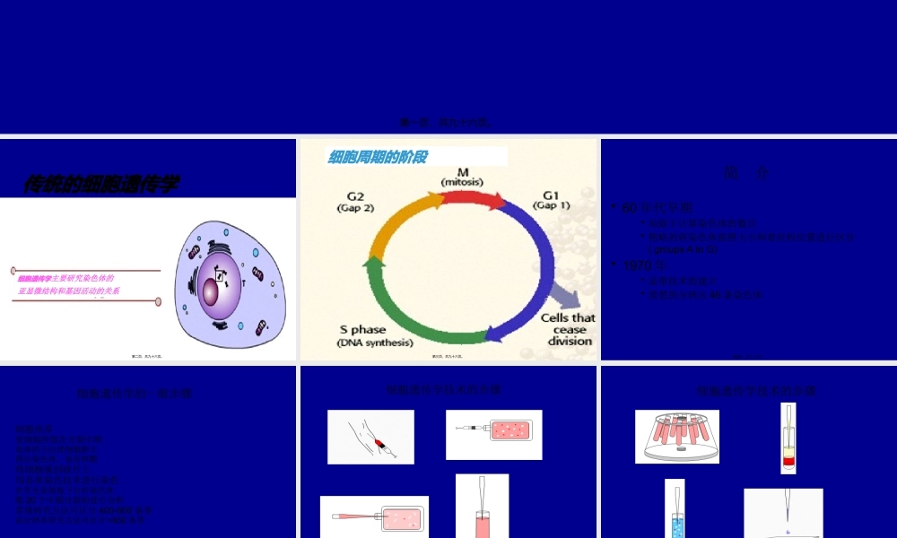 分子细胞遗传学新进展.pptx