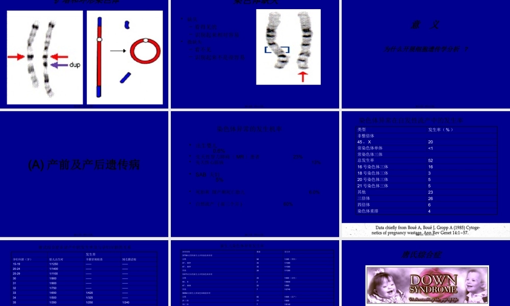 分子细胞遗传学新进展.pptx