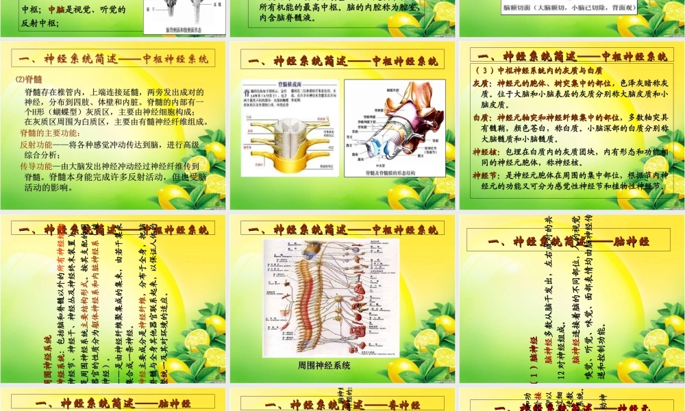 神经酸与脑健康讲座.ppt