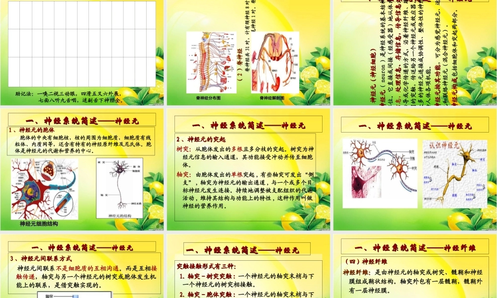 神经酸与脑健康讲座.ppt