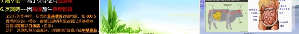 五色蔬果含有不同营养价值.pptx