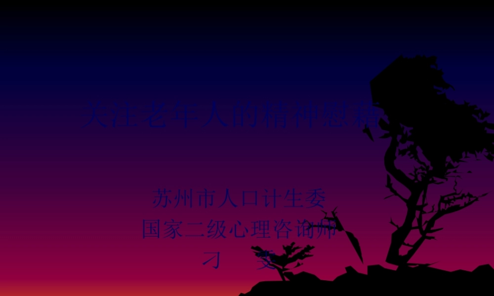 关注老年人的精神慰藉.pptx