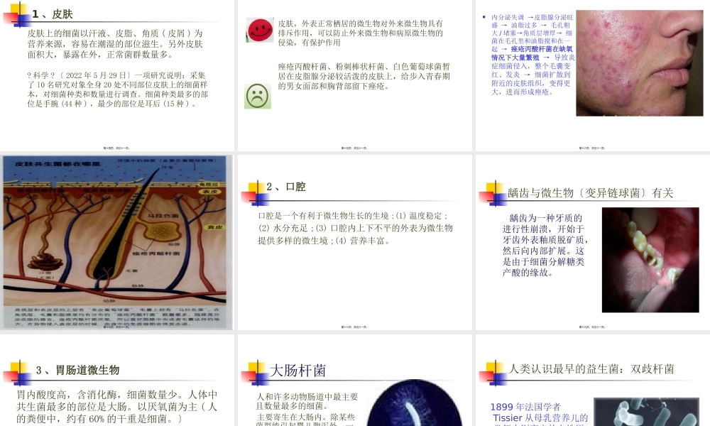 人体中的正常菌群概要.pptx