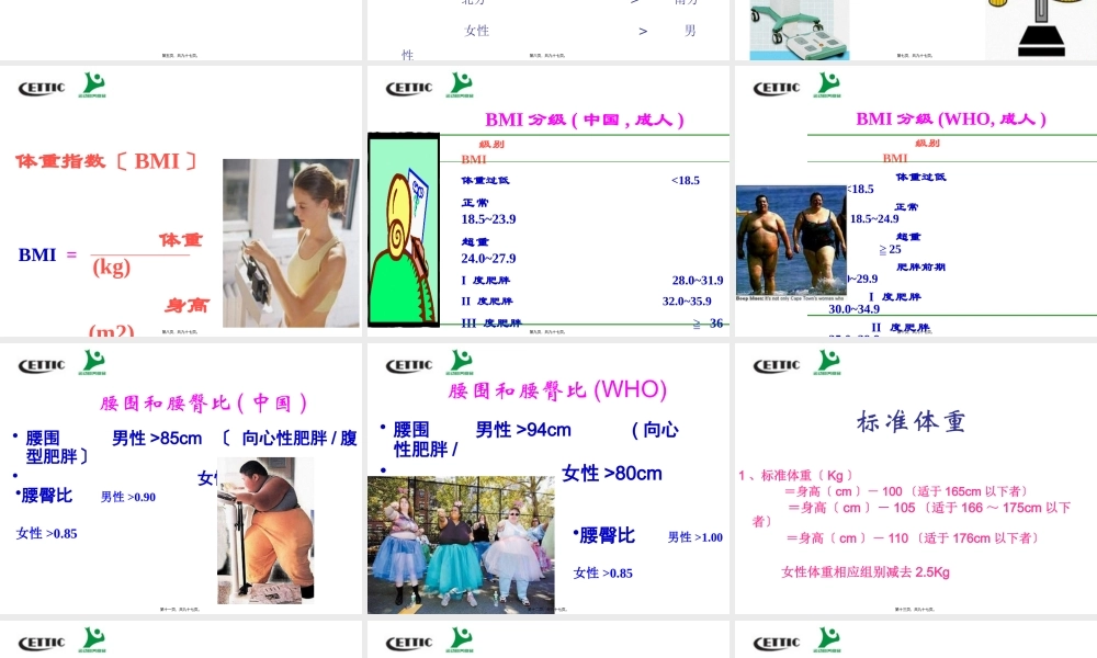 减脂塑身与营养模板.pptx