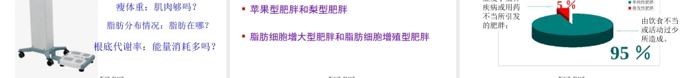 减脂塑身与营养模板.pptx