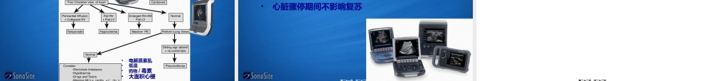 2022年医学专题—ICU-超声在心脏骤停应用(1).ppt