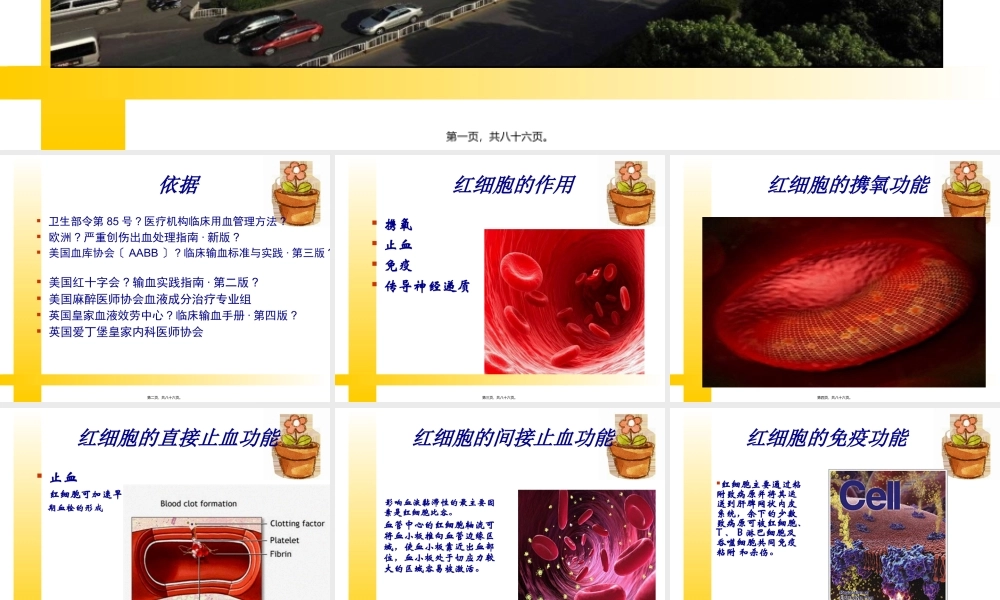 凝血因子-中国献血网.pptx