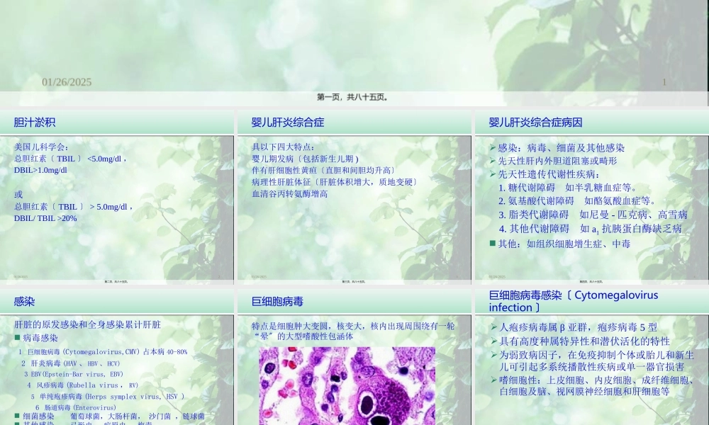 婴儿肝炎综合症白欣立-PPT文档.pptx