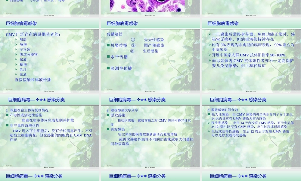 婴儿肝炎综合症白欣立-PPT文档.pptx
