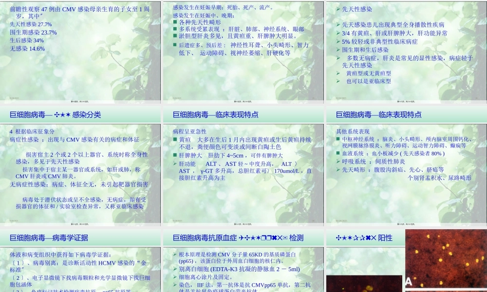 婴儿肝炎综合症白欣立-PPT文档.pptx