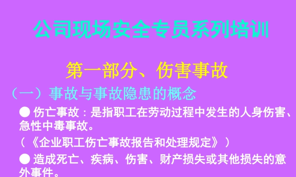 公司现场安全员系列培训教材.ppt