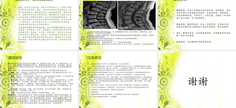 腰3横突综合症..ppt