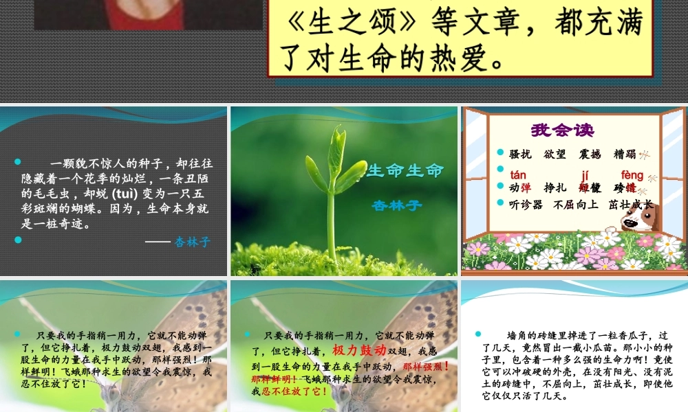 生命生命PPT.ppt